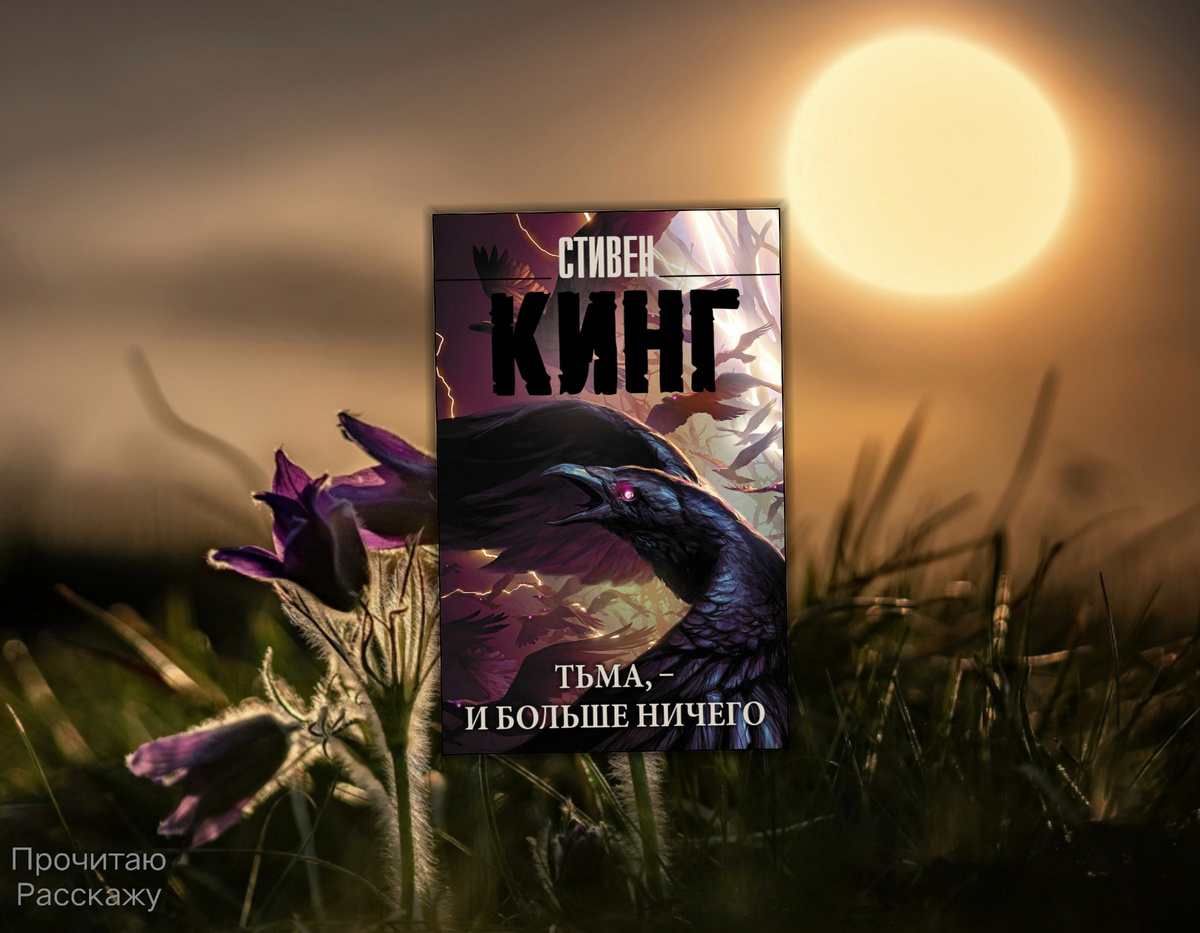 Коллаж сделан автором блога Прочитаю Расскажу. Изображения взяты из открытых источников. Стивен Кинг "Тьма,- и больше ничего"