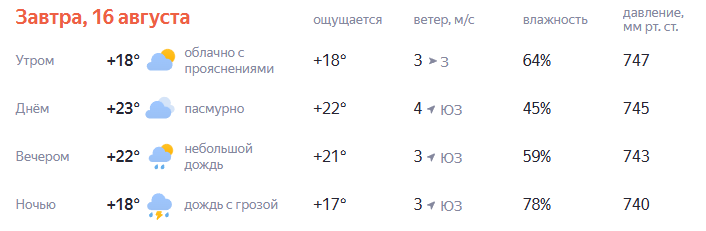 Погода в день матча