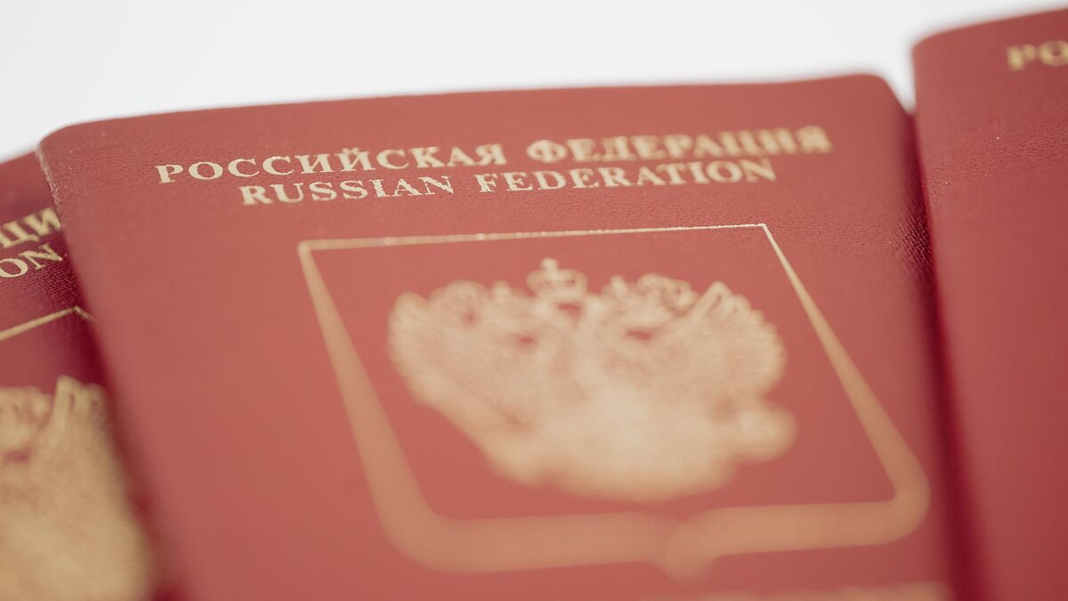Фото: ИЗВЕСТИЯ/Телеканал «78»