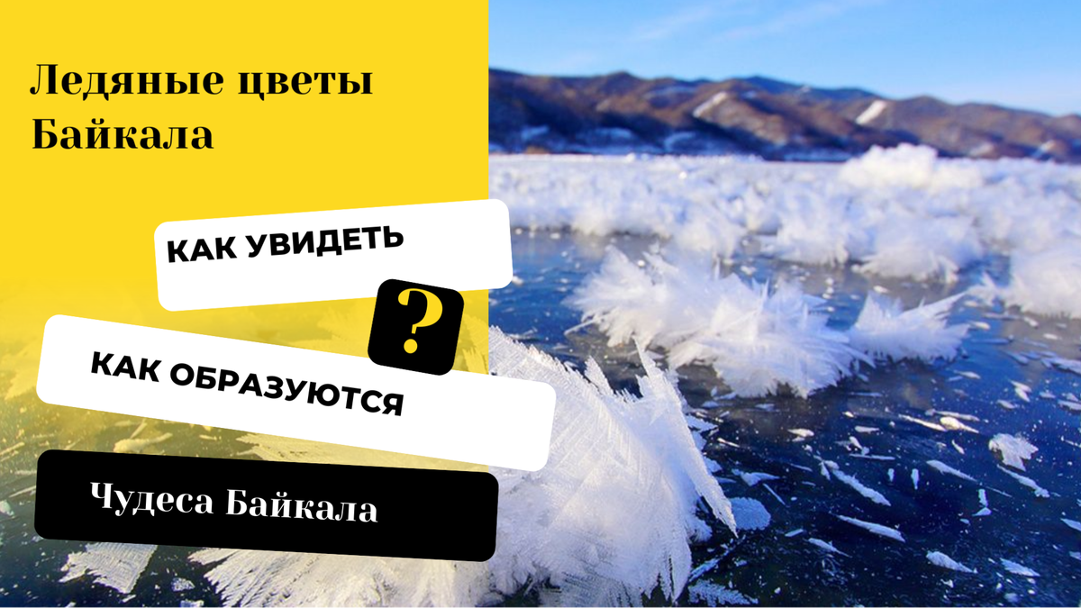 Где и когда увидеть ледяные цветы на Байкале