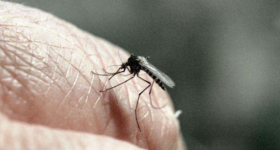    РИА «Новости»