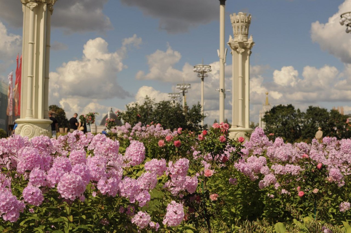 Личное фото, г. Москва, ВДНХ