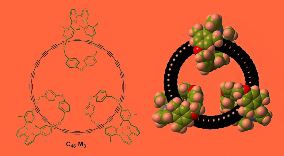   N + 1; Yueze Gao et al. / Science, 2025