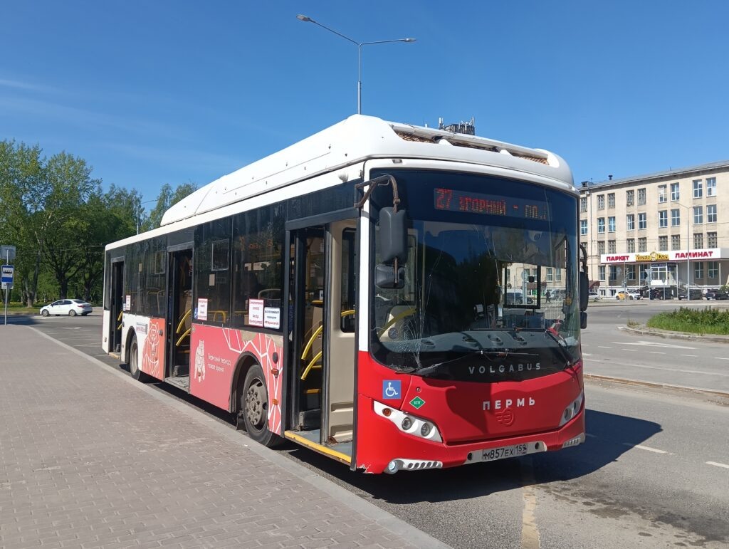    Фото: В курсе.ру Полина Анкушина