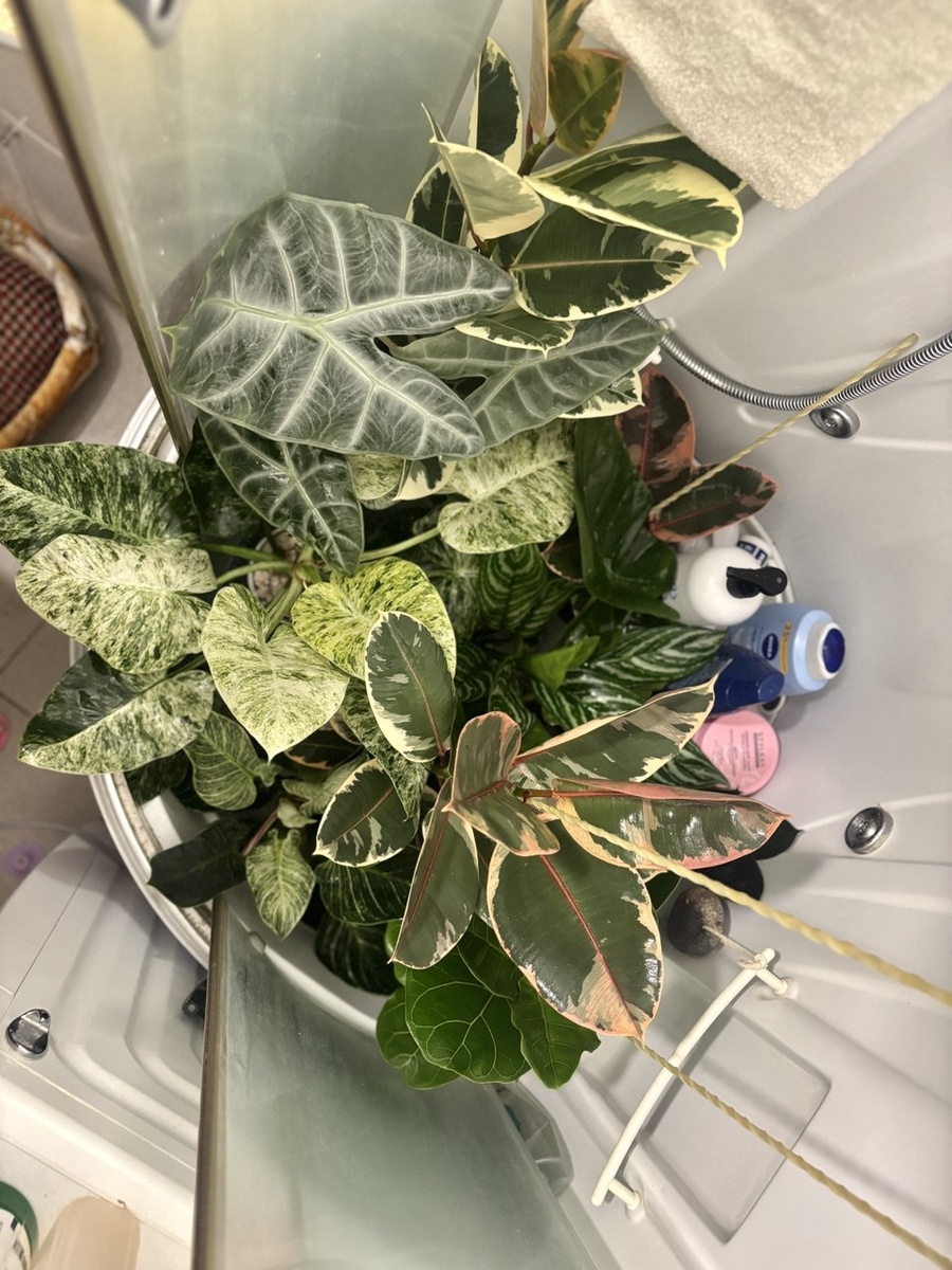 Вот так теперь выглядит моя ванная.