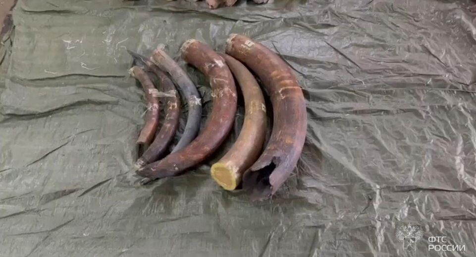    пресс-служба УФСБ России по Амурской области