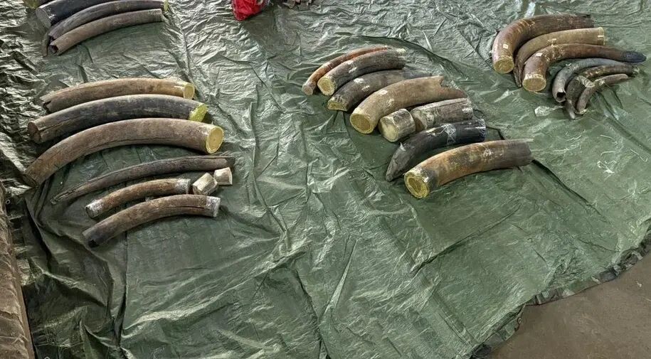     пресс-служба УФСБ России по Амурской области