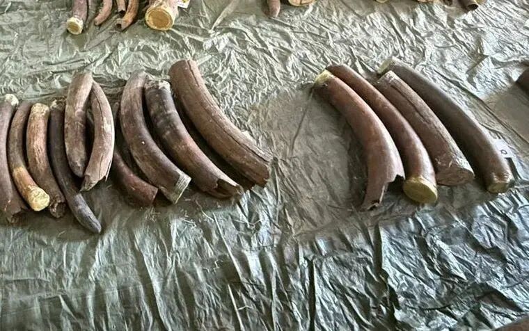     пресс-служба УФСБ России по Амурской области