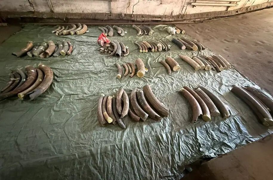     пресс-служба УФСБ России по Амурской области