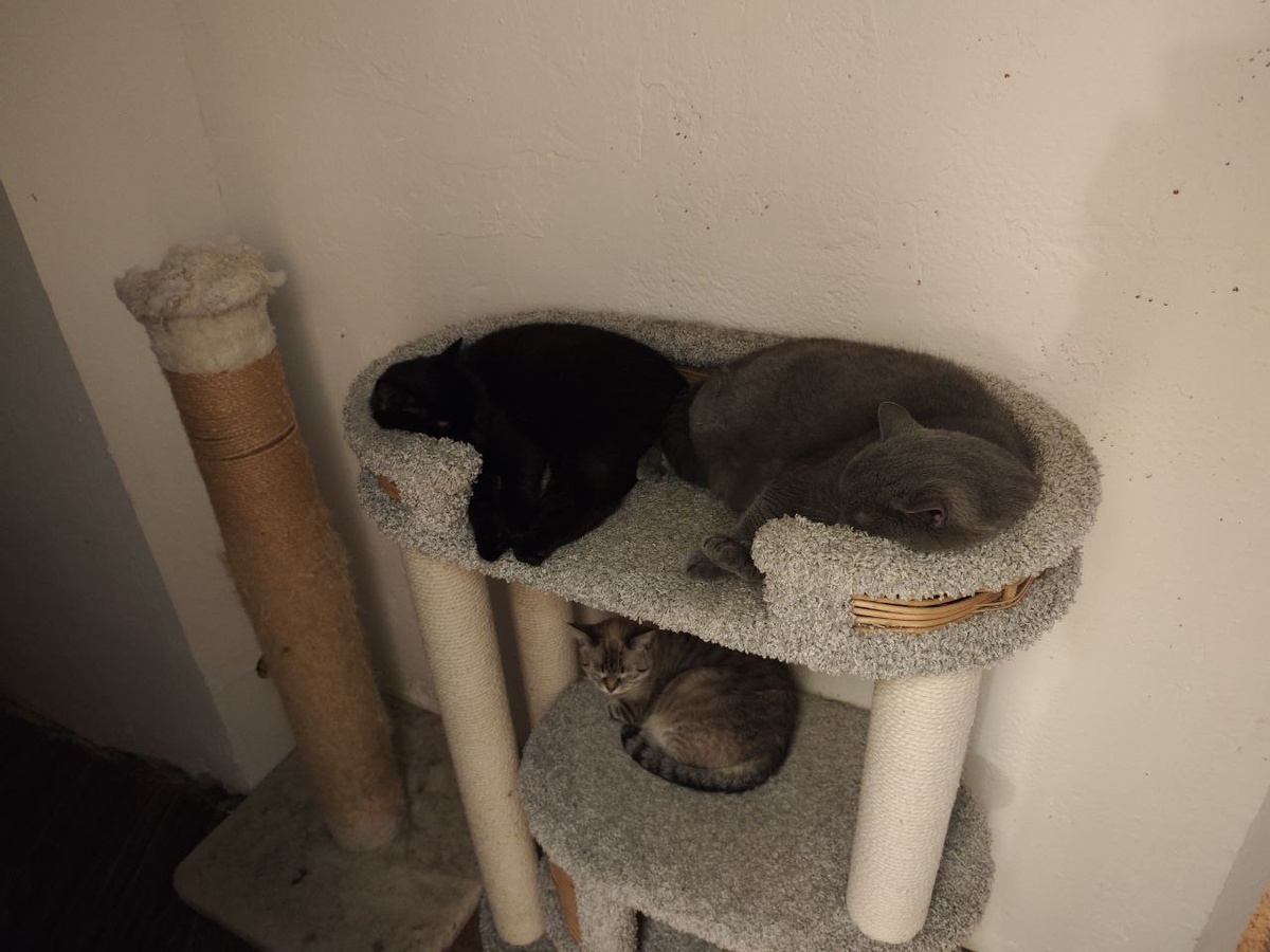 Морфей и компания