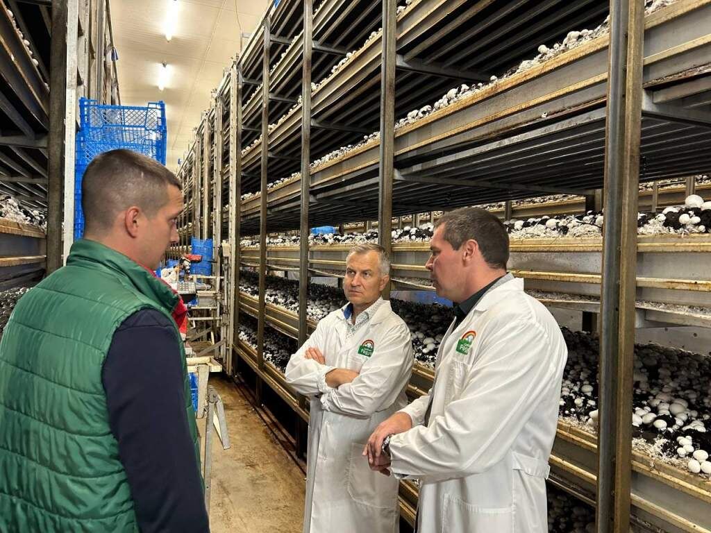    Фото из тг-канала Александра Чепика