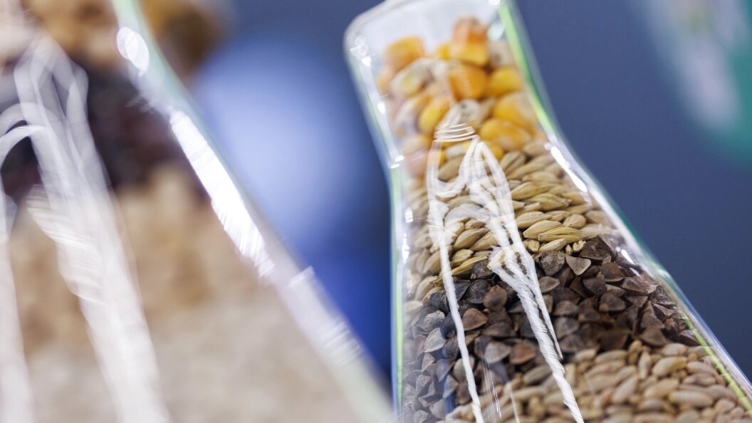    Sergey Elagin/Business Online/Globallookpress