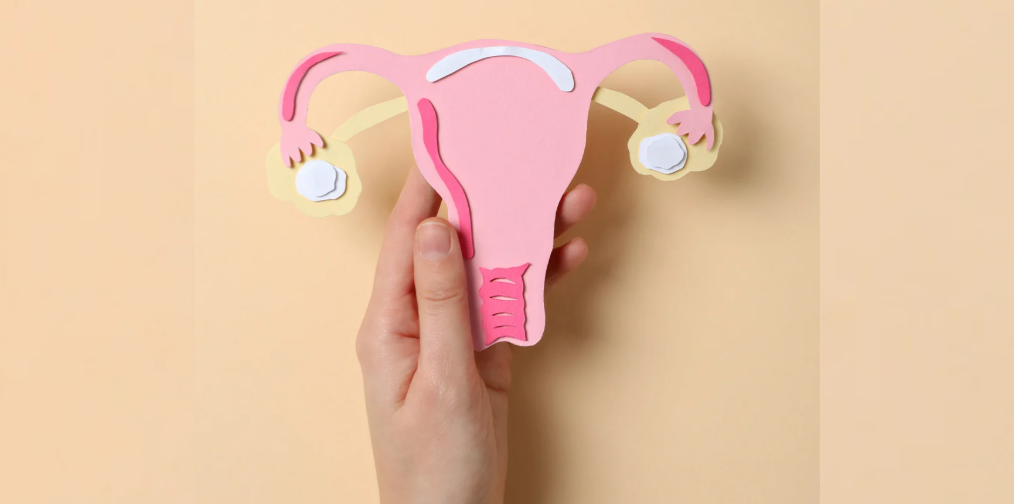 Этот орган дает жизнь, а может...