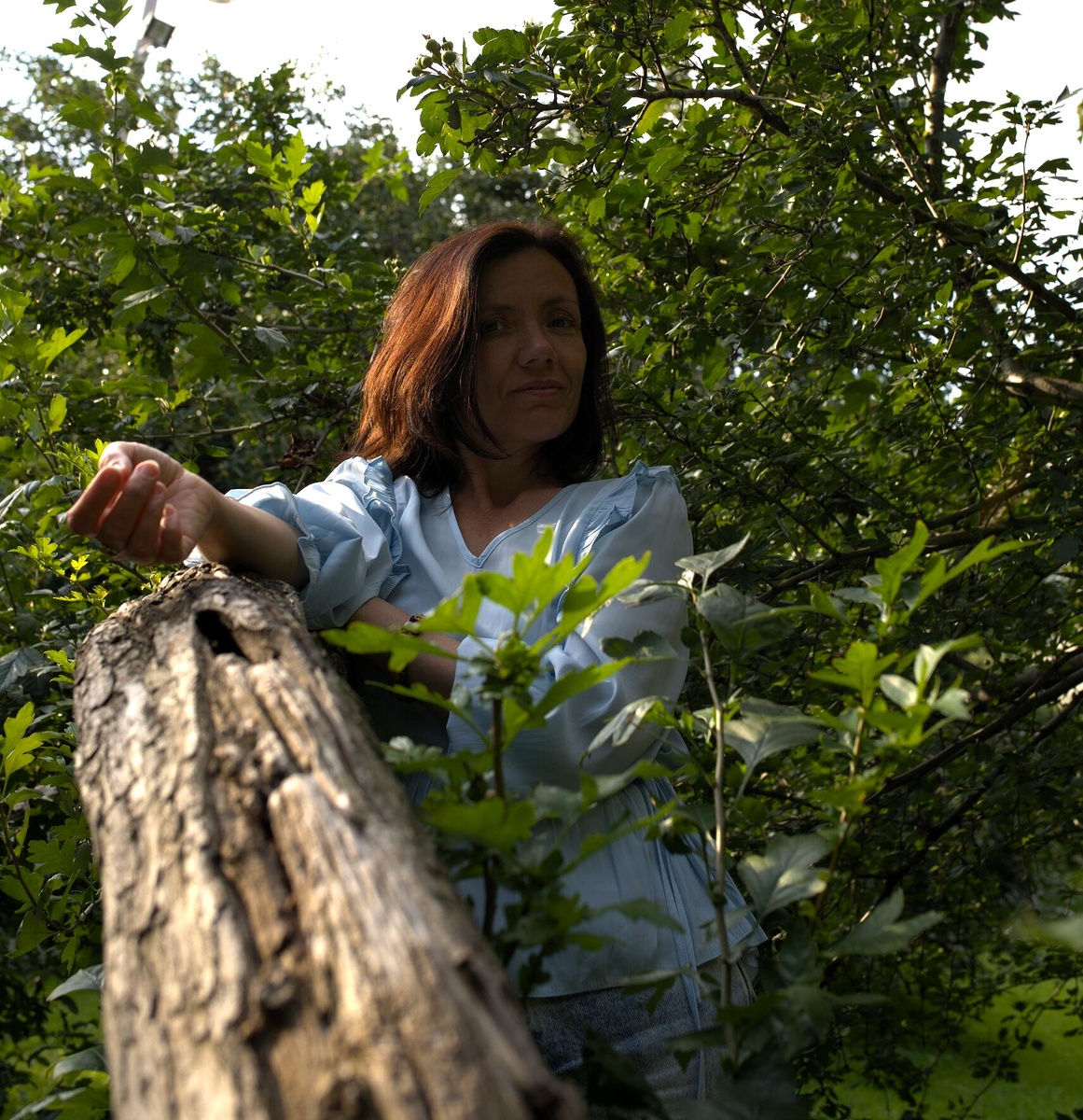 где-то в Александровском саду