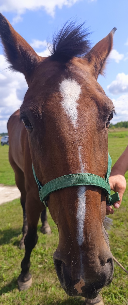 Фото из личного архива автора канала Во благо ❤️