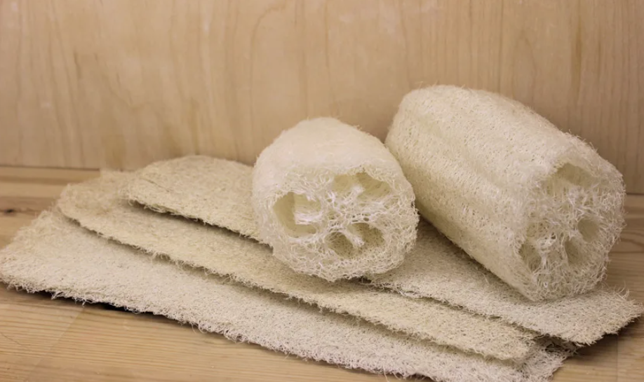 Люффа египетская. semena-zakaz.ru/blog/ovoshchi/lyuffa-mochalka-dlya-tekh-kto-predpochitaet-vse-naturalnoe/