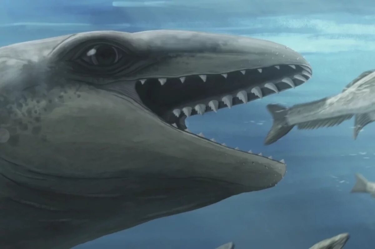    Останки животного, похожего на покемона и кита с ногами, нашли в Австралии