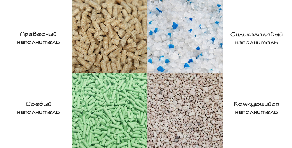 Виды наполнителей для кошачьего лотка. Фото из интернета