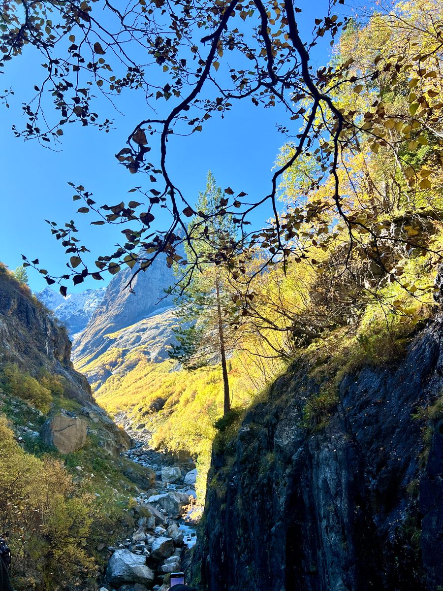 Впереди ледники Аманаузский и Софруджу