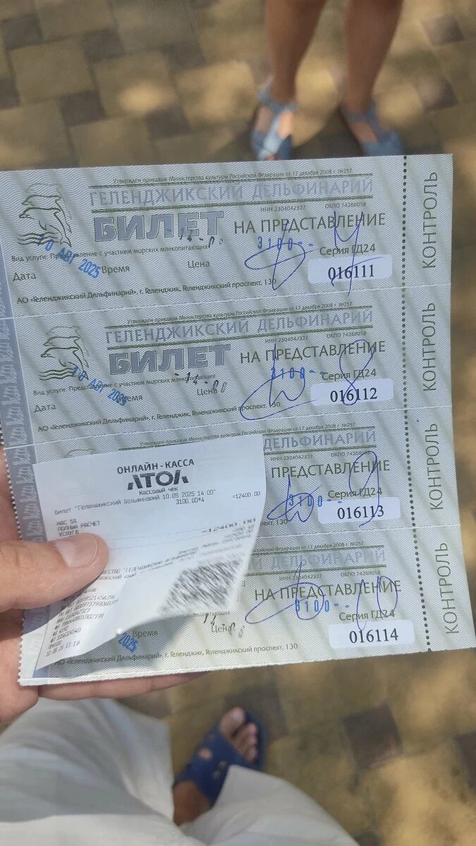 Билеты в Геленджикский дельфинарий семье из трех человек обойдутся почти в 10 тысяч рублей / Фото: Владимир Мединский, Яндекс.Карты