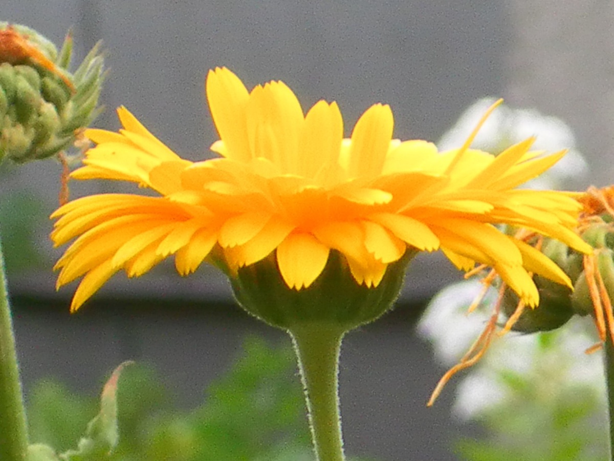 Фото автора, 2011 год