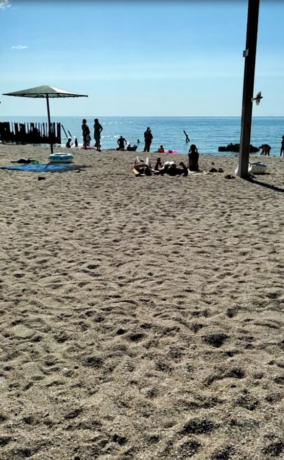 Есть ли медузы в августе на Азовском море в Седово ДНР ?