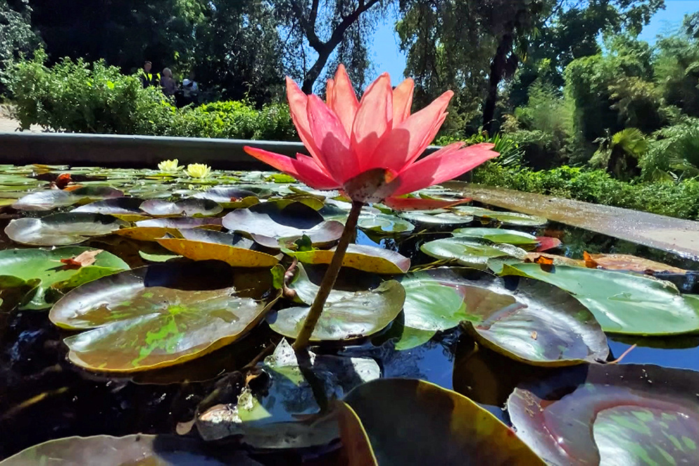    ©АО "ТВ Центр"