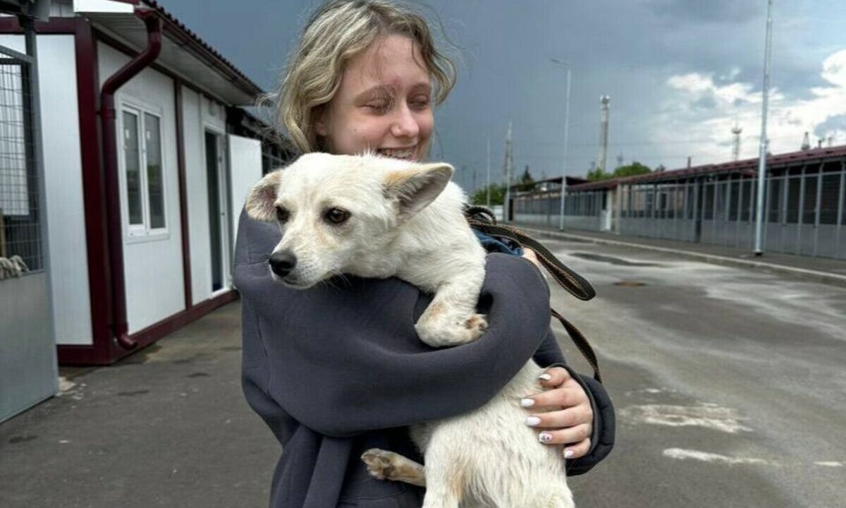    Фото t.me/emnaumov