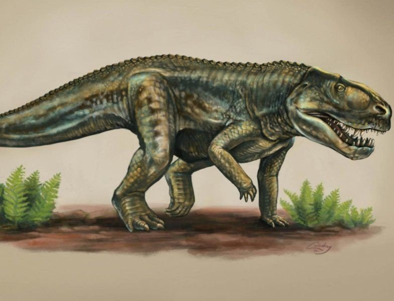 Виварон. Иллюстрация.