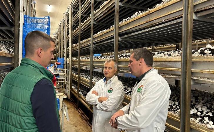    фото Курские известия