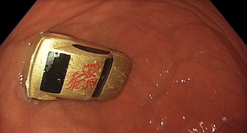    Пресс-служба Министерства здравоохранения Московской области