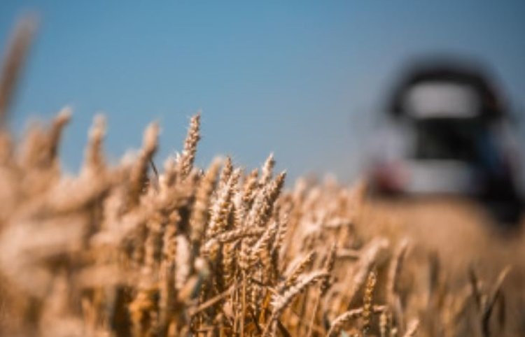    Фото: Минсельхоз Липецкой области