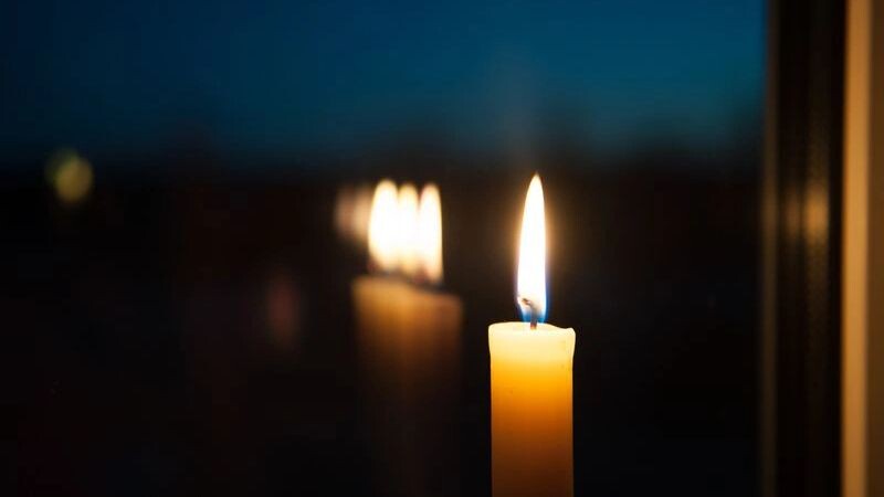    Фото: Ekaterina Dvoryaninova / Shutterstock / Fotodom