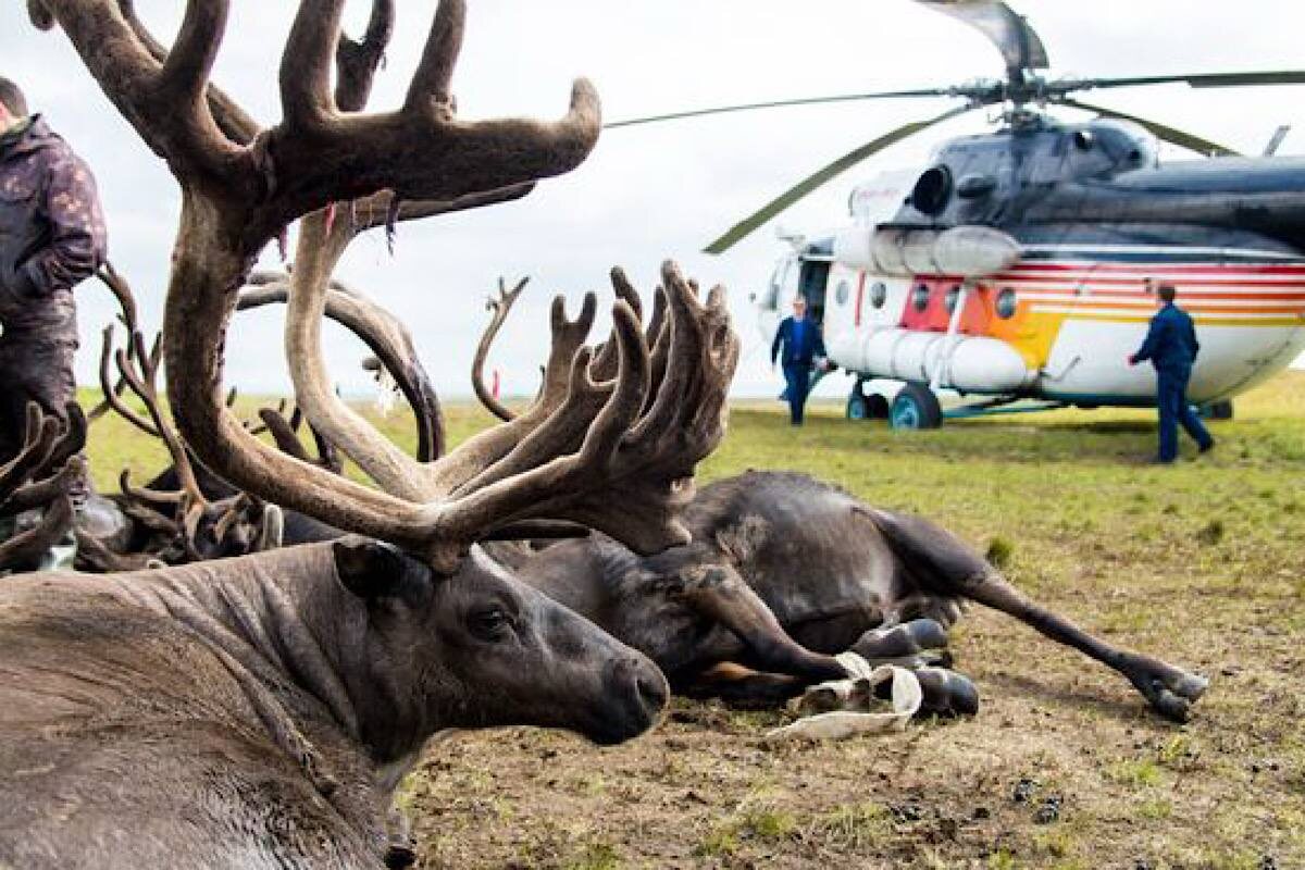    Фото: Татьяна Баева, источник: РИА Новости