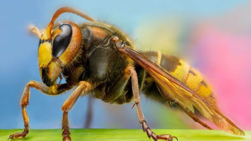    Фото: s.tokarev/Shutterstock/Fotodom