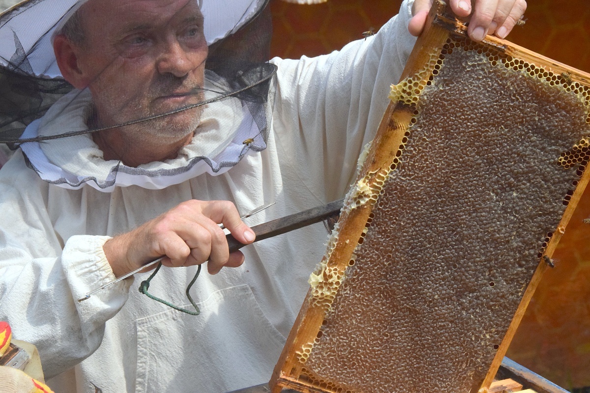    Фото: пресс-служба администрации города Сочи