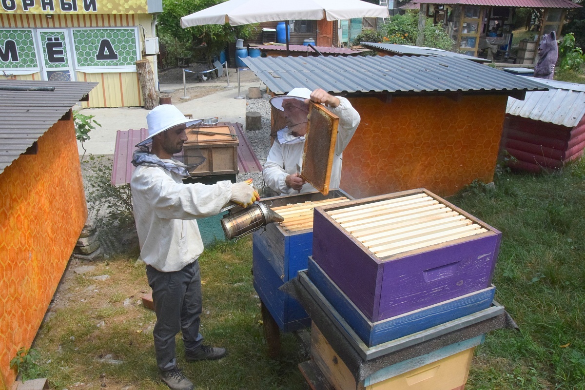    Фото: пресс-служба администрации города Сочи