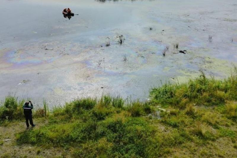    Telegram-канал «Экология - дело каждого»