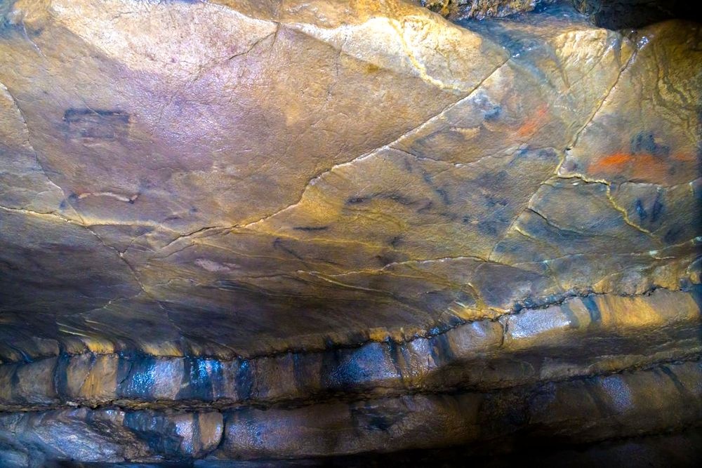    Пресс-служба МГУ