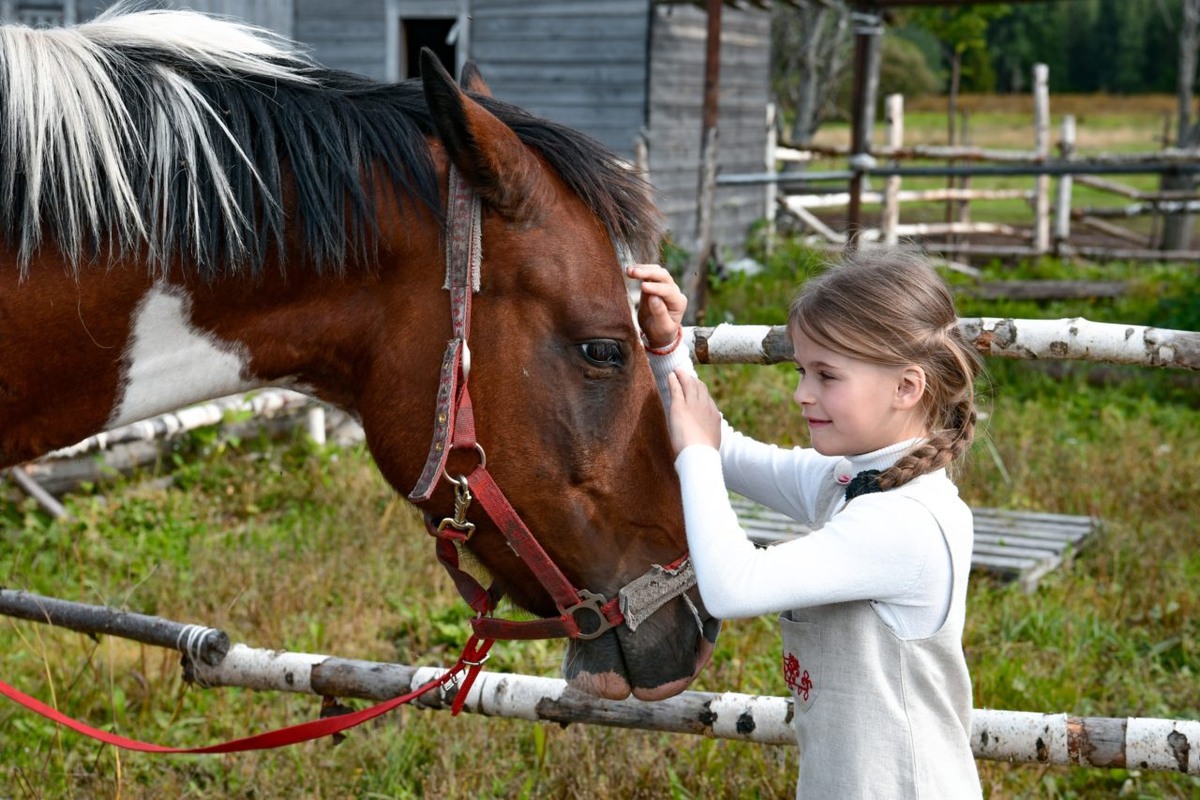    Ферма семьи Сулим. Фото: "Республика" / Оксана Кудряшова