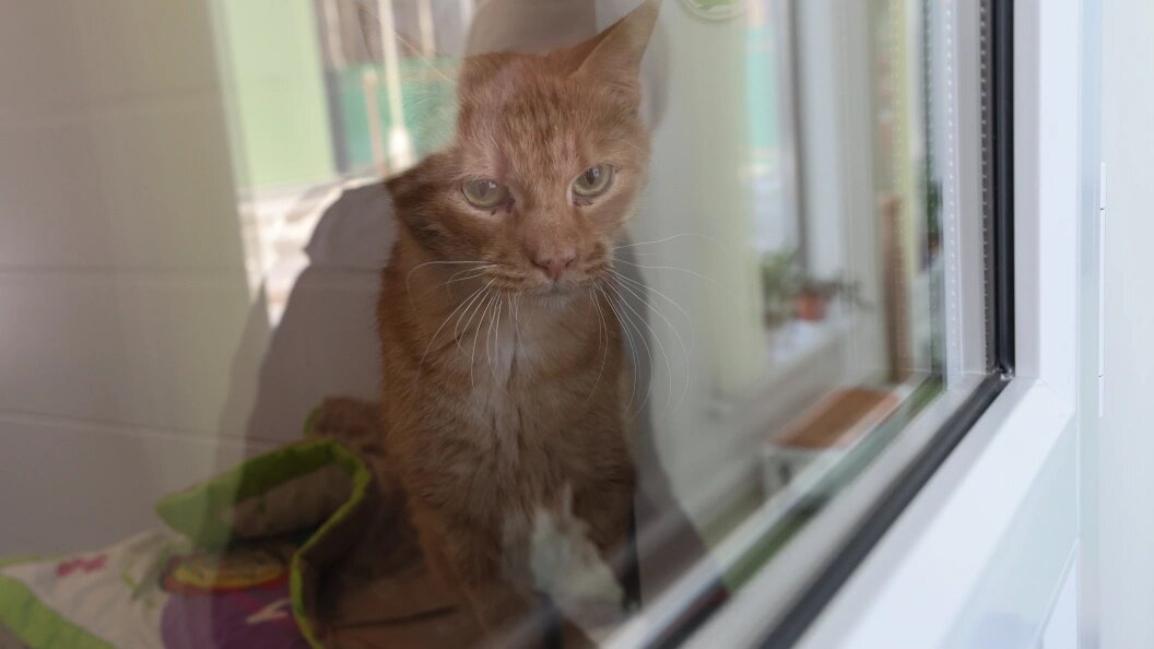    фото: Belkin Alexey/news.ru