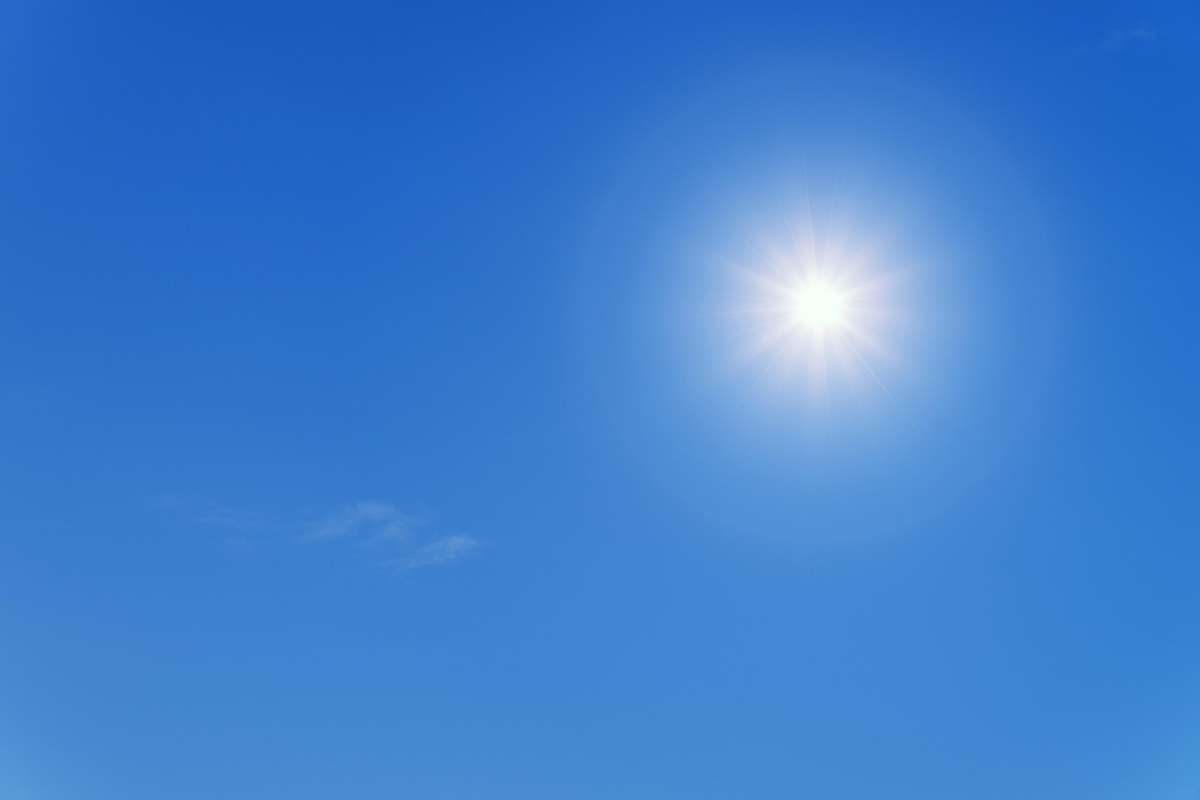 https://img.pulse19.ru/uploads/2022/05/foto-pixabay.com_-6-scaled.jpg