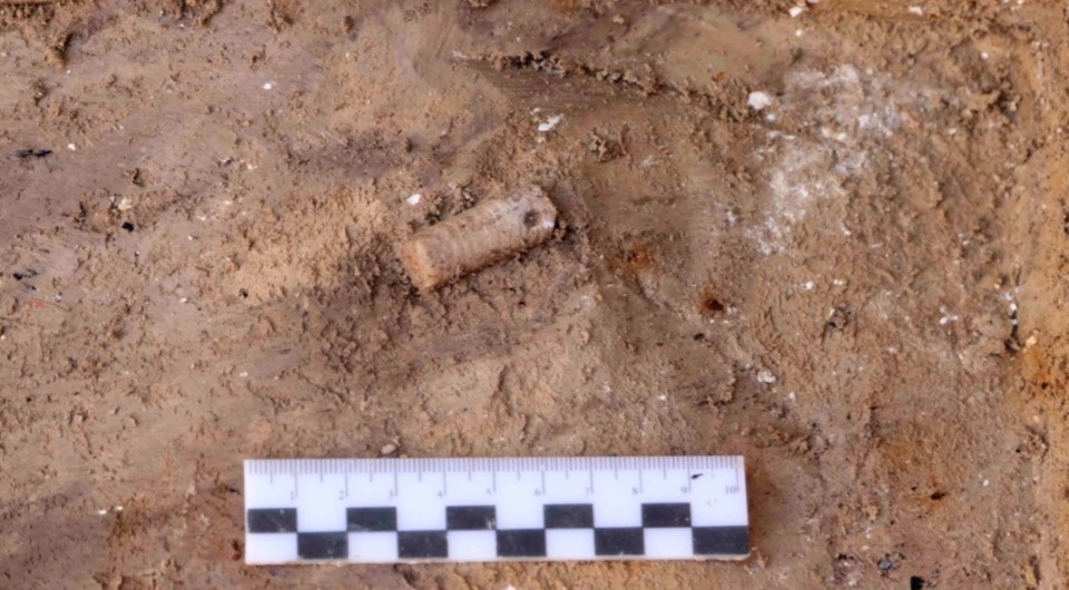   Институт истории материальной культуры РАН / VK