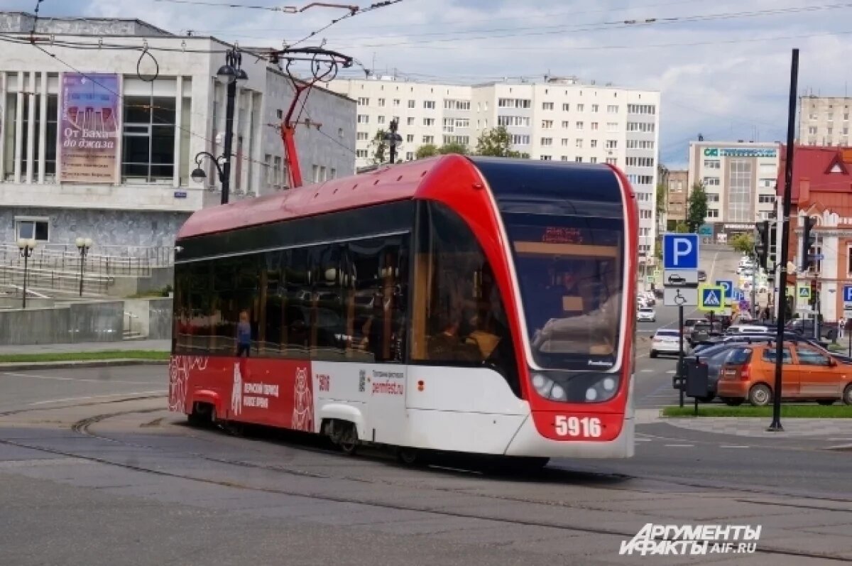    В центре Перми из-за упавшего дерева встали трамваи
