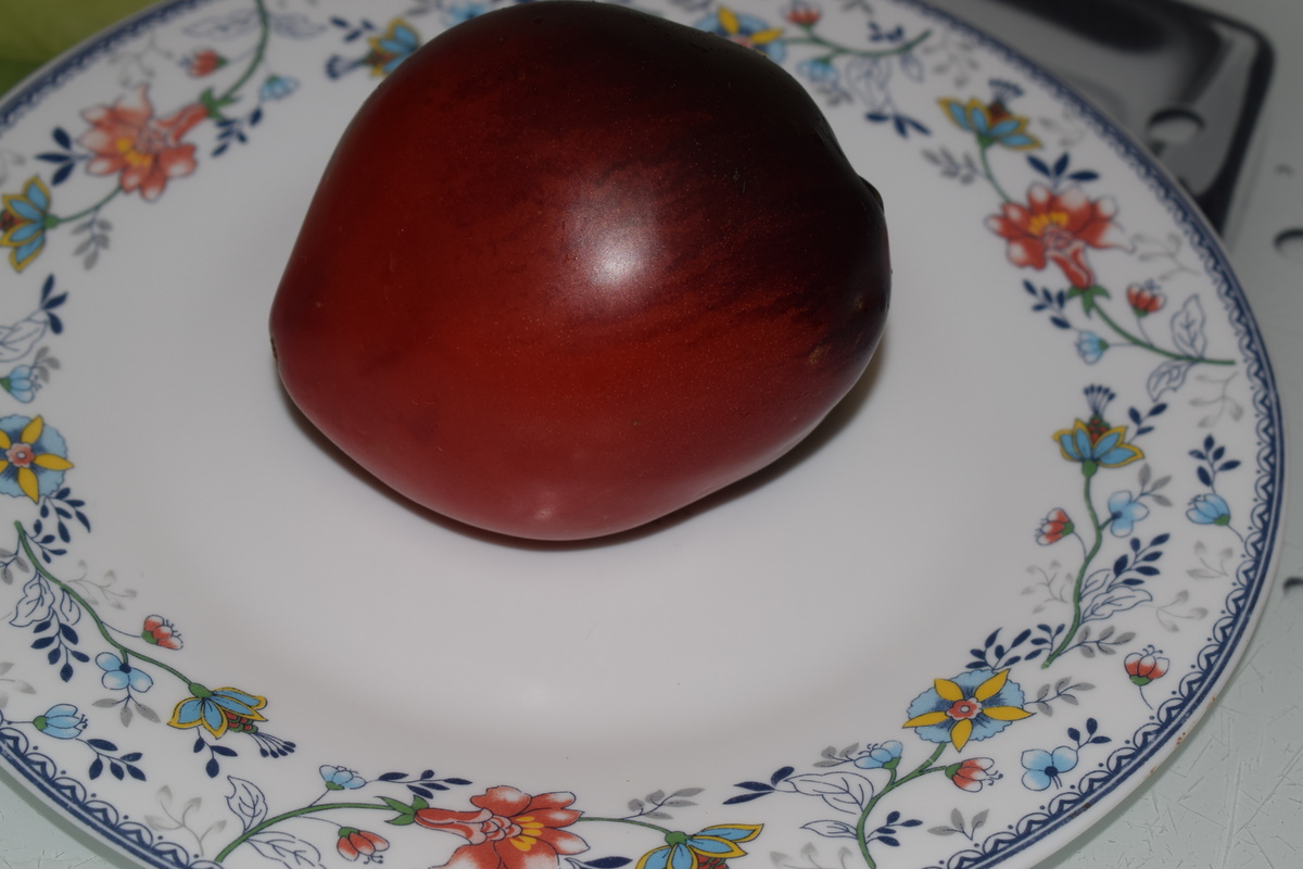 а это уже спелая помидорка(фото автора)