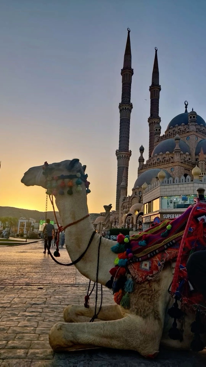 Шарм Эль Шейх