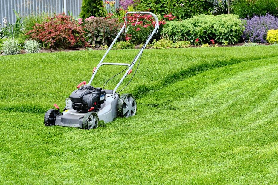    Shutterstock/FOTODOM