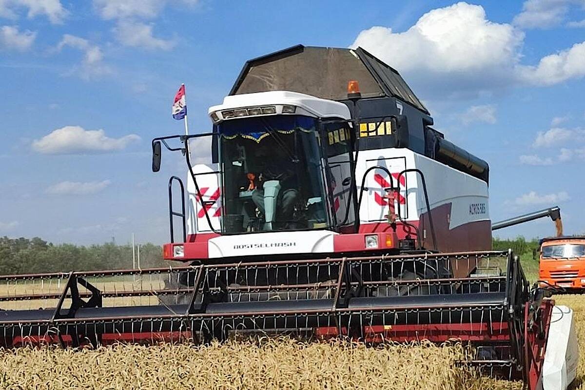    Фото: Инфо РМ, источник: info-rm.com