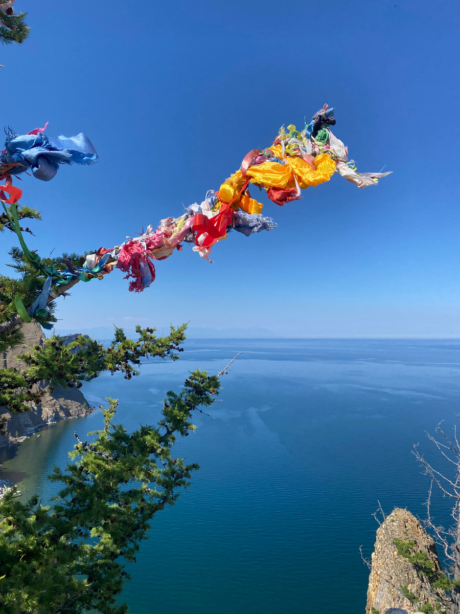 🍁 ЭНЕРГИИ ОСЕНИ — ПЕРИОД РАБОТЫ С РОДОМ