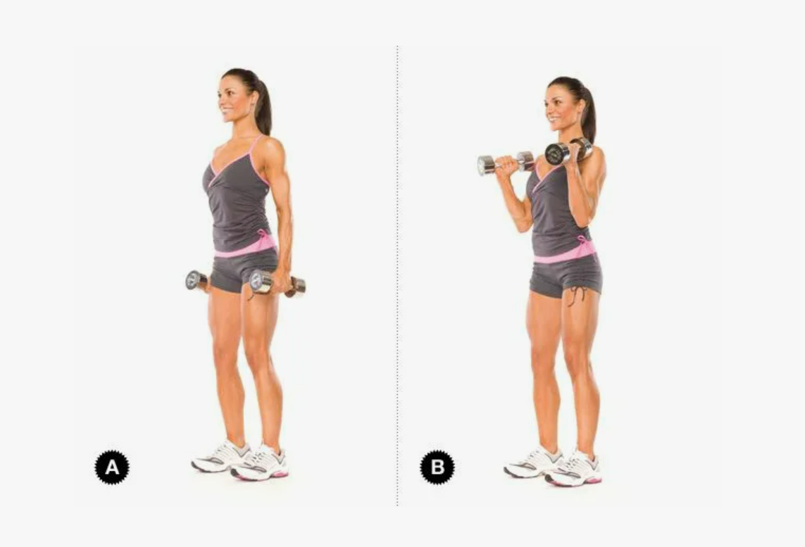 Молотковые сгибания рук стоя на брахиалис